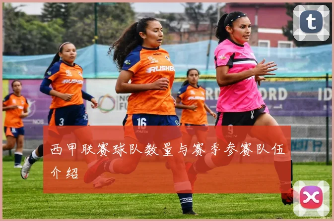 西甲联赛球队数量与赛季参赛队伍介绍